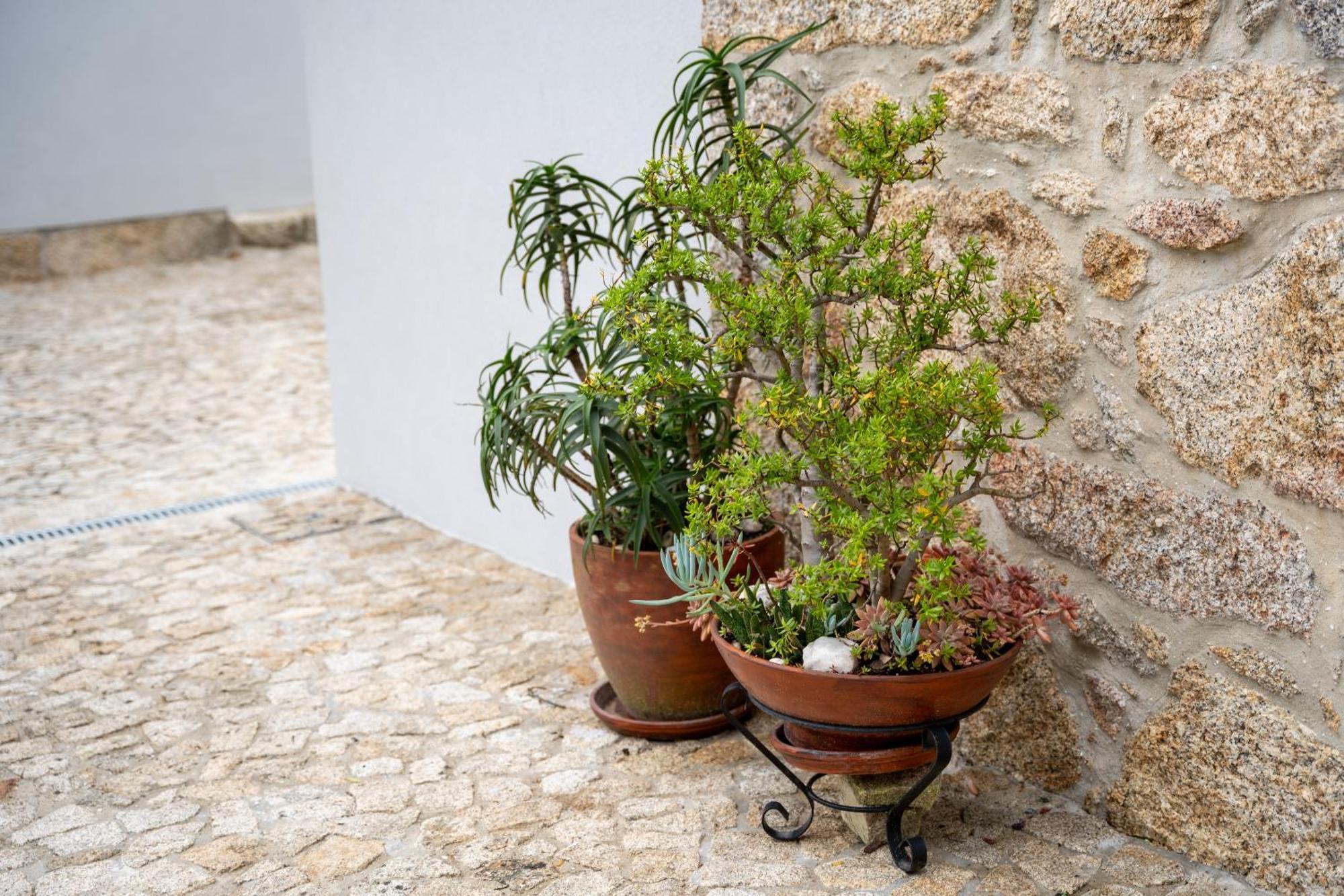 Casa Valverde - Holiday home Vale de Cambra